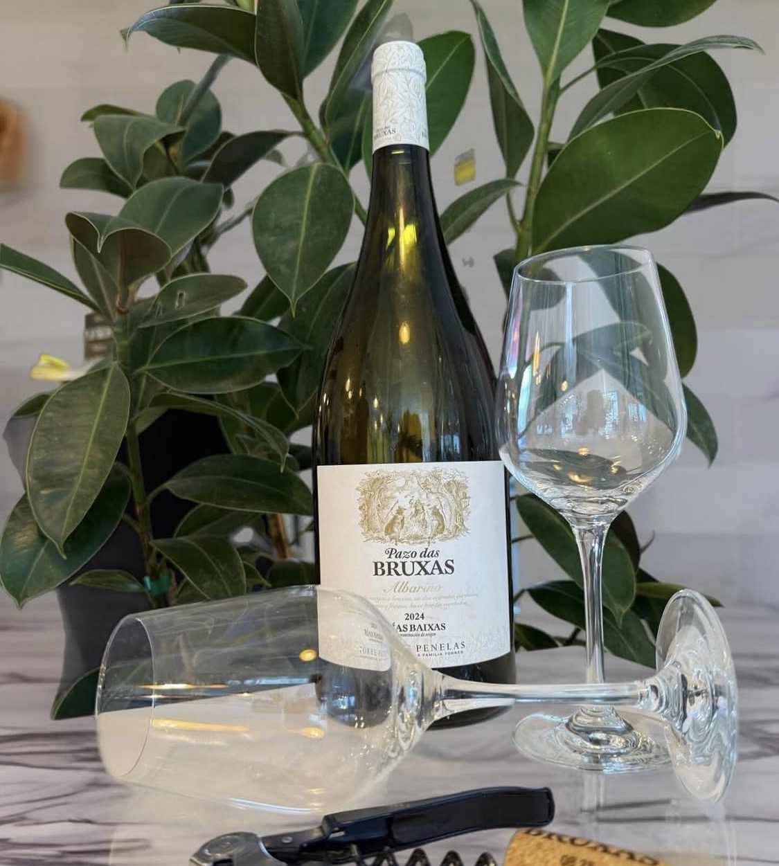 Siempre un buen vino en Abanico del Mar